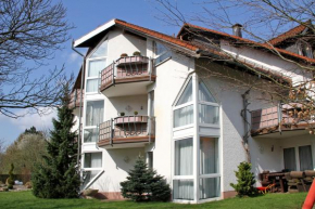 Отель Hotel- Restaurant Zum Schwan  Waldfischbach-Burgalben